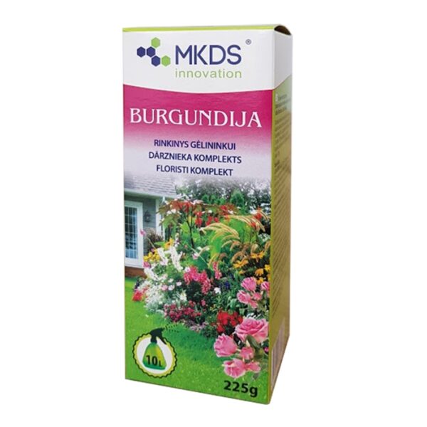 Floristi komplekt burgundija
