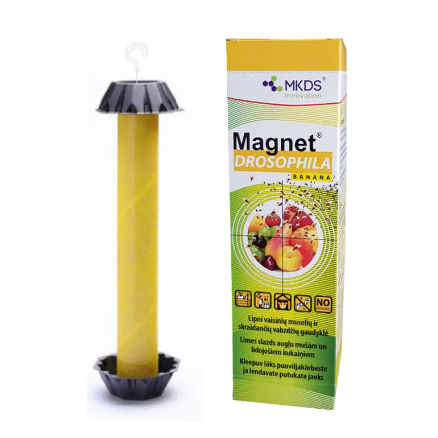 Magnet Drosophila Banana äädikakärbeste liimpüünis puuviljakärbeste püüdmiseks