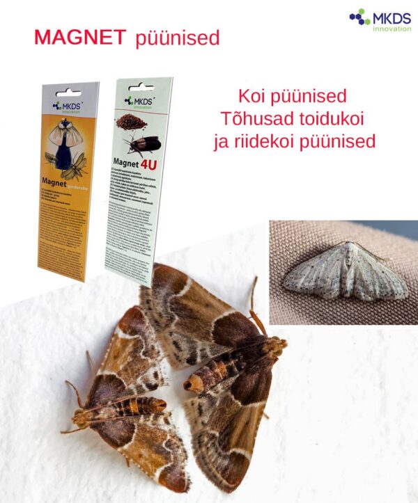 Magnet garderobe riidekoi püünis