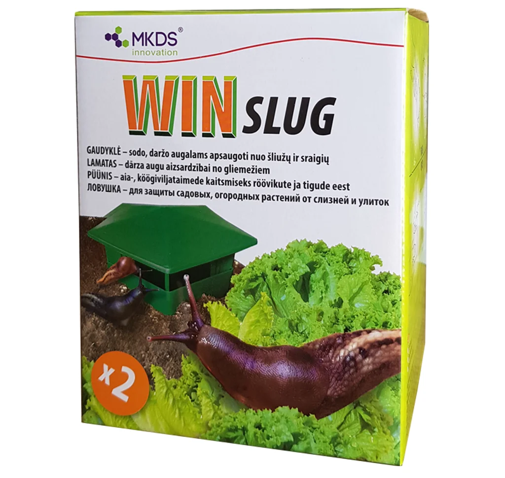 WIN Slug teopüünis maasse kaevatuna hostade vahel