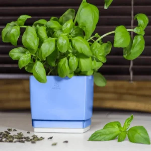 Kandiline lillepott Hagsen Square läikiva viimistluse ja varjatud vee ärajuhtimisega